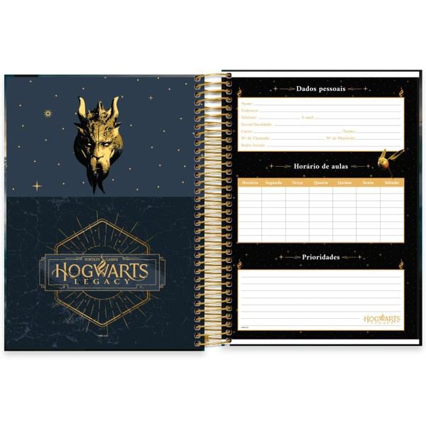 Caderno Universitário Capa Dura 10X1 160 Folhas Warner Hogwarts Legacy Spiral - PT 1 UN