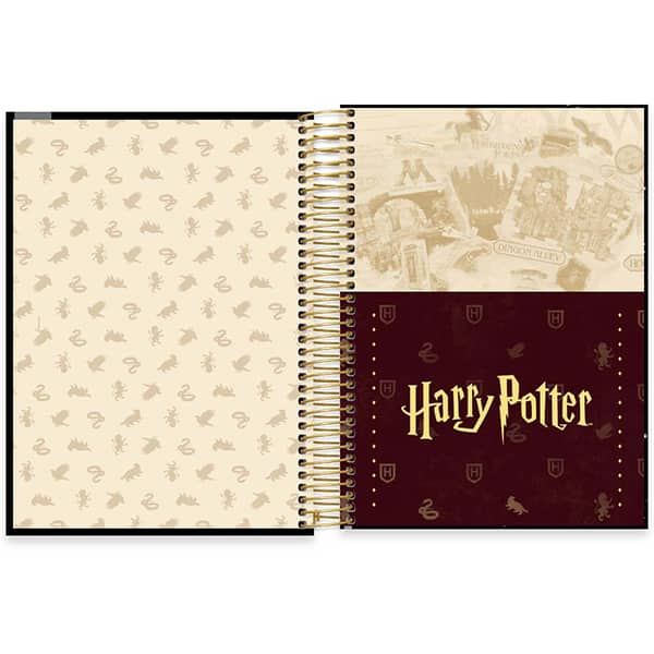 Caderno Universitário Capa Dura, 15 x 1, 240 Folhas, Harry Potter, 2519716, Spiral Hpt - PT 1 UN