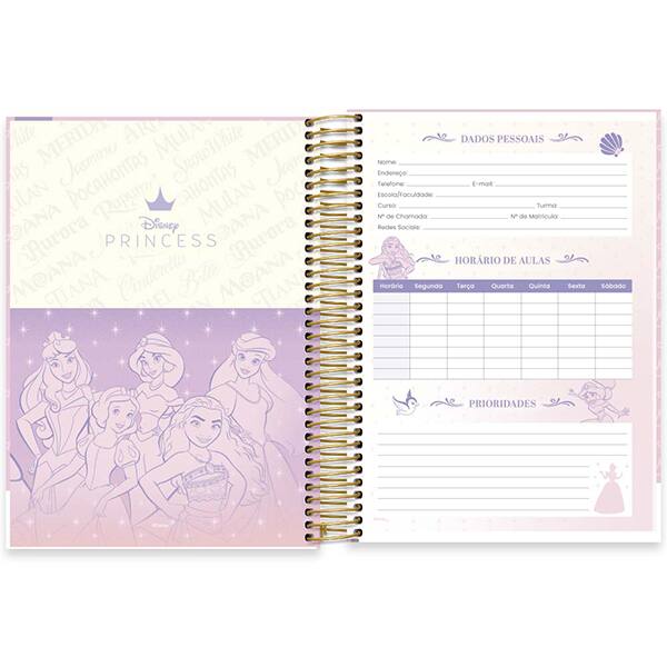 Caderno Universitário Capa Dura, 15 x 1, 240 Folhas, Princesas, 2524826, Spiral Pn - PT 1 UN