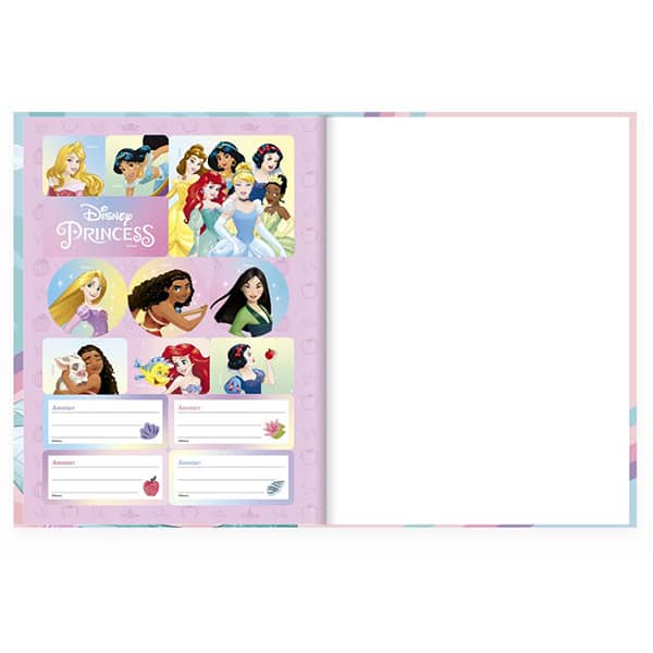 Caderno Universitário Capa Dura Brochura Costurado 80 Folhas Princesas Ariel Spiral - PT 1 UN