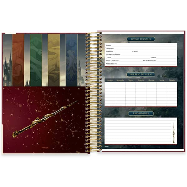 Caderno Universitário Capa Dura, 10 x 1, 160 Folhas, Hogwarts Legacy, 2513363, Spiral Hl - PT 1 UN