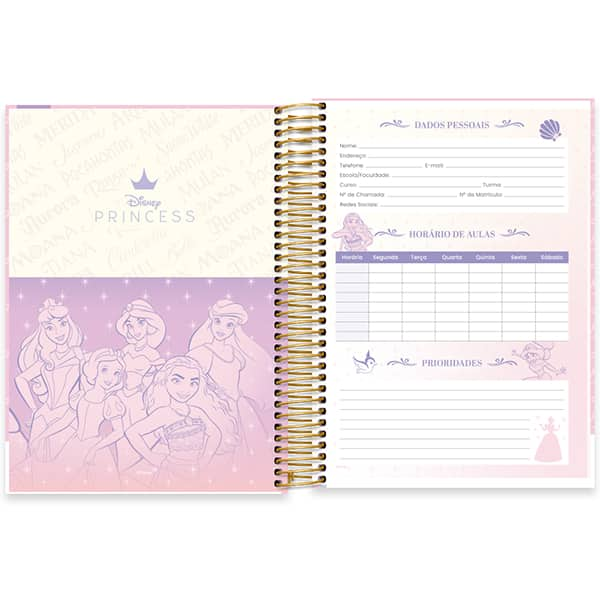 Caderno Universitário Capa Dura, 10 x 1, 160 Folhas, Princesas, 2524659, Spiral Pn - PT 1 UN