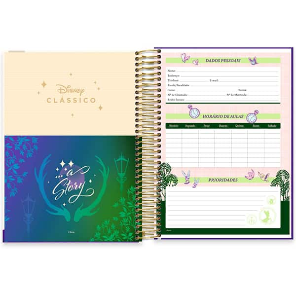 Caderno Universitário Capa Dura, 10 x 1, 160 Folhas, Disney Clássicos, A Dama e o Vagabundo, 2525922, Spiral Cld - PT 1 UN