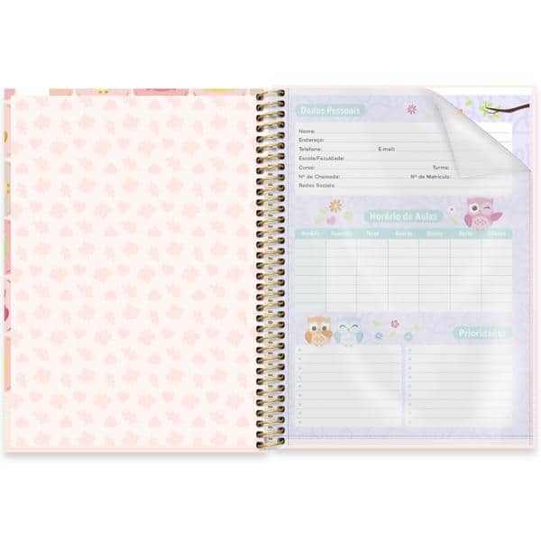 Caderno Universitário Capa Dura, 1 x 1, 80 Folhas, Corujinhas, 2637901, Spiral Cor - PT 1 UN