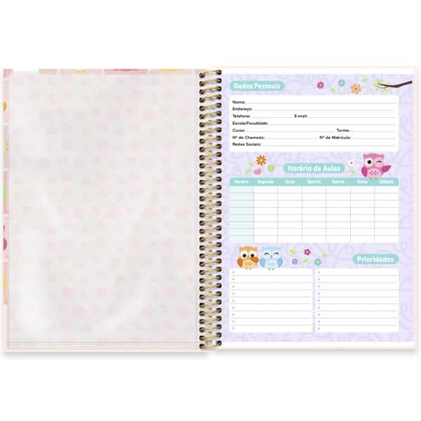 Caderno Universitário Capa Dura, 1 x 1, 80 Folhas, Corujinhas, 2637901, Spiral Cor - PT 1 UN
