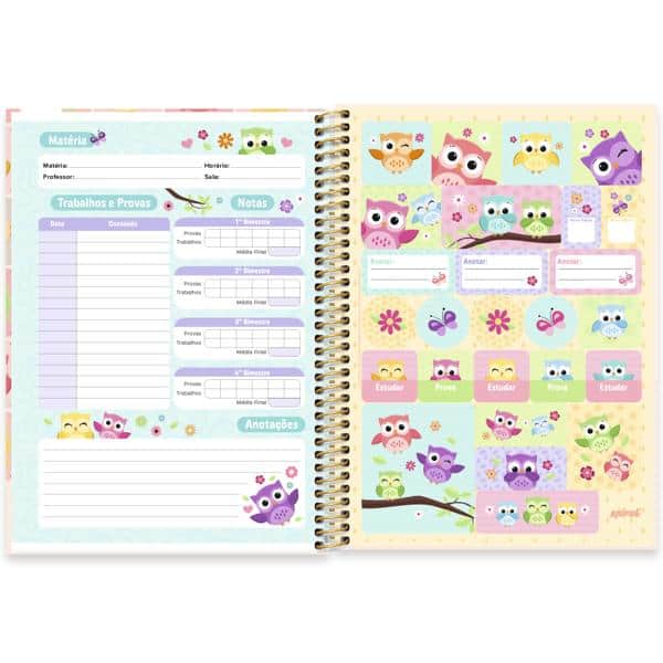 Caderno Universitário Capa Dura, 1 x 1, 80 Folhas, Corujinhas, 2637901, Spiral Cor - PT 1 UN