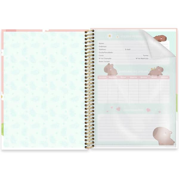 Caderno universitário capa dura, 1x1, 80 folhas, Capivara, 2638113, Spiral Ten - PT 1 UN