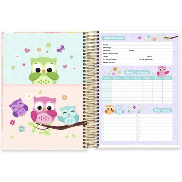 Caderno Universitário Capa Dura, 15 x 1, 240 Folhas, Corujinhas, 2638458, Spiral Cor - PT 1 UN