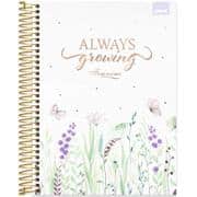 Caderno Universitário Capa Dura, 20 x 1, 320 Folhas, Femmina, 2638557, Spiral Fem - PT 1 UN