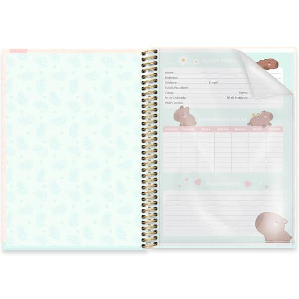 Caderno Universitário Capa Dura, 1 x 1, 80 Folhas, Capivara, 2644305, Spiral Ten - PT 1 UN
