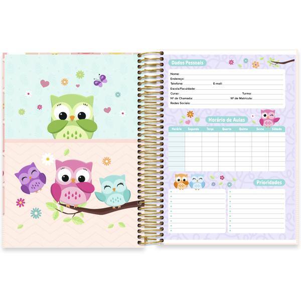 Caderno Universitário Capa Dura, 10 x 1, 160 Folhas, Corujinhas, 2638168, Spiral Cor - PT 1 UN