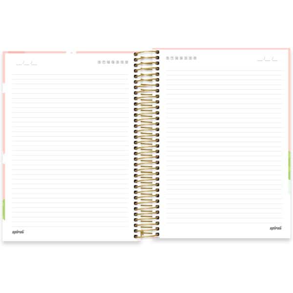 Caderno Universitário Capa Dura, 10 x 1, 160 Folhas, Capivaras, 2644312, Spiral Ten - PT 1 UN