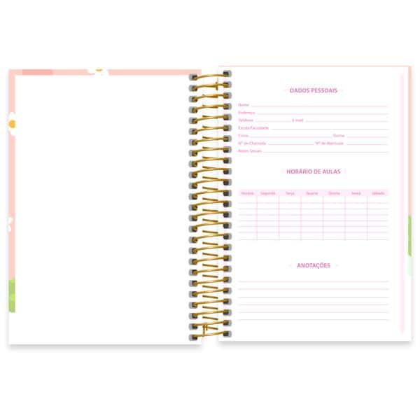 Caderno 1/4 Capa Dura, Espiral, 80 folhas, Capivara, 2644404, Spiral Ten - PT 1 UN