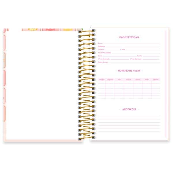 Caderno 1/4, Capa Dura, Espiral, 160 folhas, Corujinhas, 2644411, Spiral Cor - PT 1 UN