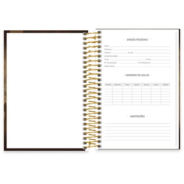 Caderno 1/4 espiral capa dura 80fls H.Potter 2641328 Spiral Hpt PT 1 UN
