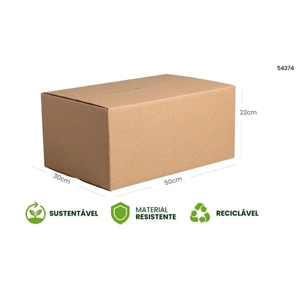Caixa de Papelão para Transporte/Mudança, 50cm x 30cm x 22cm, 54374-02, Penha - CX 1 UN