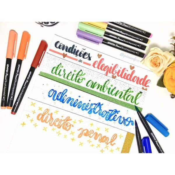 Caneta pincel Brush Pen pastel 6 cores 17.032 Newpen BT 1 UN