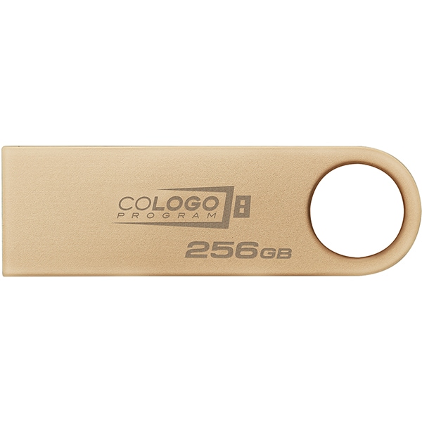 Pen Drive DataTraveler 256GB, USB 3.2, Dourado, Kingston - BT 1 UN