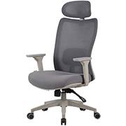 Cadeira giratória Astra Pro cinza 71466 Elements CX 1 UN