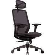 Cadeira de escritório ergonômica Serena, Giratória, Preta, Elements - CX 1 UN