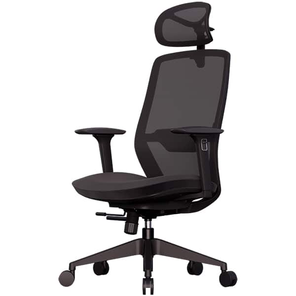 Cadeira de escritório ergonômica Serena, Giratória, Preta, Elements - CX 1 UN Cadeira de escritório ergonômica Serena, Giratória, Preta, Elements - CX 1 UN