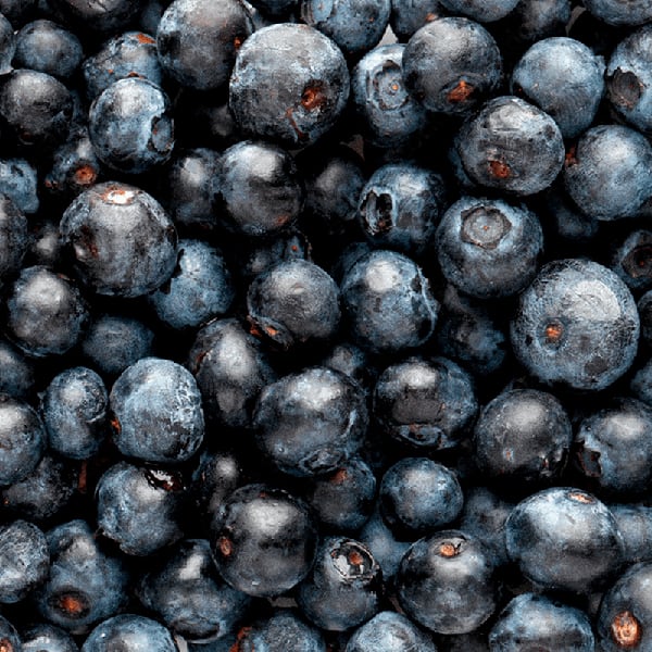 Suplemento Go Recovery Now Gel, Guaraná com Açaí, 9067, Atlhetica - SC 1 UN Suplemento Go Recovery Now Gel, Guaraná com Açaí, 9067, Atlhetica - SC 1 UN