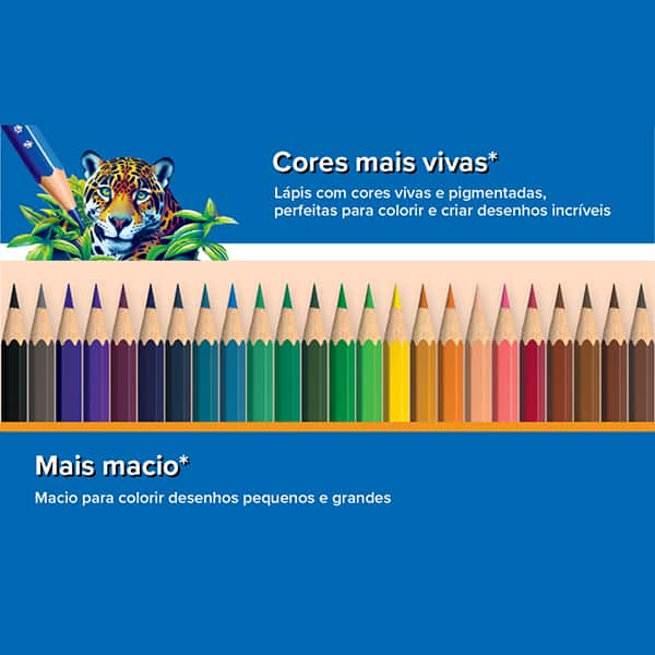 Lápis de Cor sextavado, 24 Cores, BIC - CX 1 UN