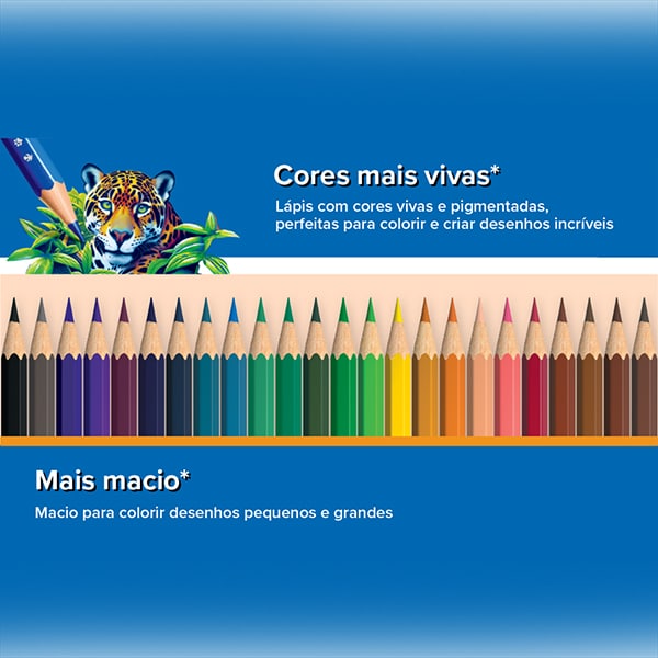 Lápis de Cor sextavado, 36 Cores, BIC - CX 36 UN