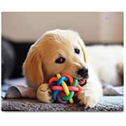 Mouse pad em pvc 18x22cm Golden Retriever MPF-2 App-tech BT 1 UN Mouse pad em pvc 18x22cm Golden Retriever MPF-2 App-tech BT 1 UN