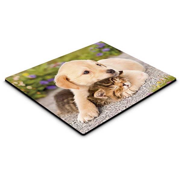 Mouse pad em pvc, My Pet Filhotes, 18cm x 22cm, Spiral - CX 1 UN