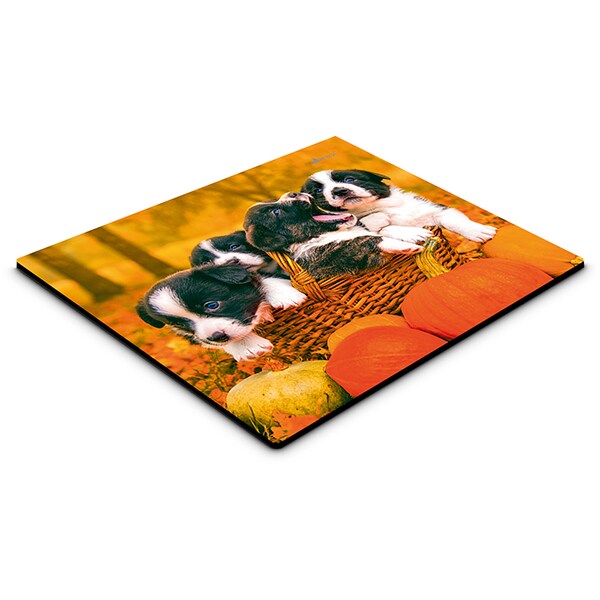 Mouse pad em pvc, My Pet, Cachorros, 18cm x 22cm, App-Tech - PT 1 UN