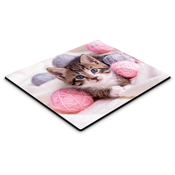 Mouse pad em pvc, My Pet, Gato, 18cm x 22cm, App-Tech - PT 1 UN