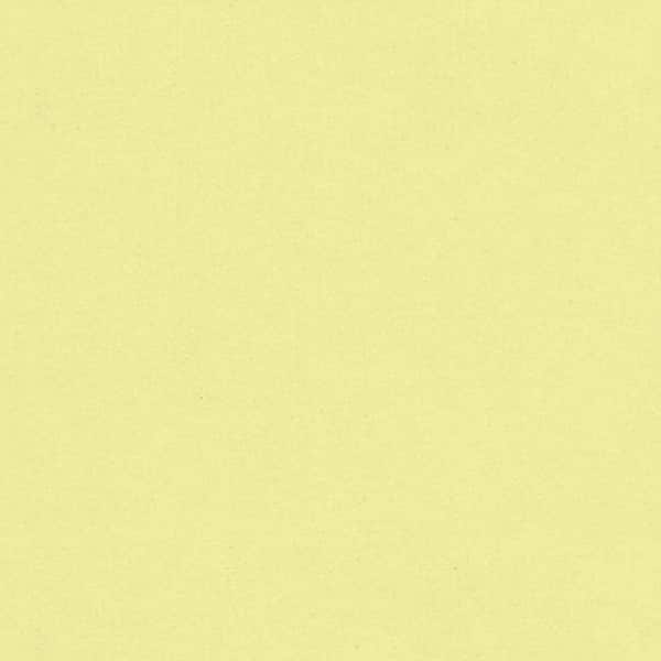 Papel 180g 210x297 color amarelo pastel Spiral PT 50 UN