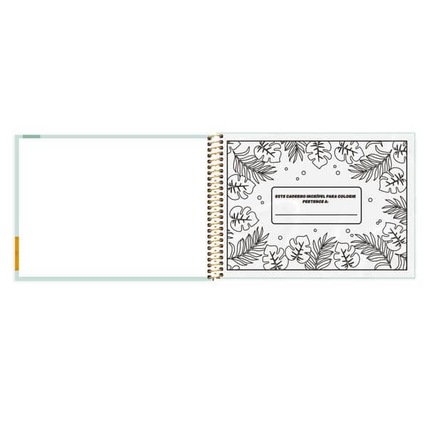 Caderno p/ colorir Capivara 40fls 2648358 Spiral Ten PT 1 UN