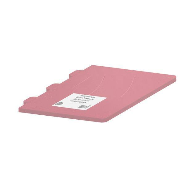 Pasta 180g 225x315 3 grampos vermelho Spiral PT 10 UN