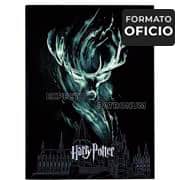 Pasta catálogo com 10 envelopes, oficio, Harry Potter, DAC - PT 1 UN