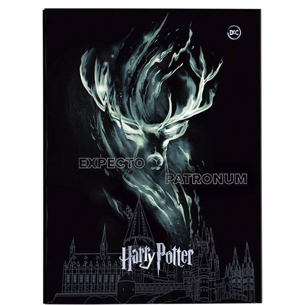 Pasta catálogo com 10 envelopes, oficio, Harry Potter, DAC - PT 1 UN