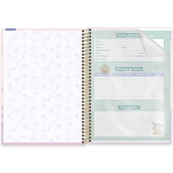 Caderno Universitário Capa Dura, 1 x 1, 80 Folhas, Grogu, 2523959, Spiral Gro- PT 1 UN