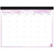 Planner mensal Femmina, 24 folhas, 2369061, Spiral Fem - PT 1 UN