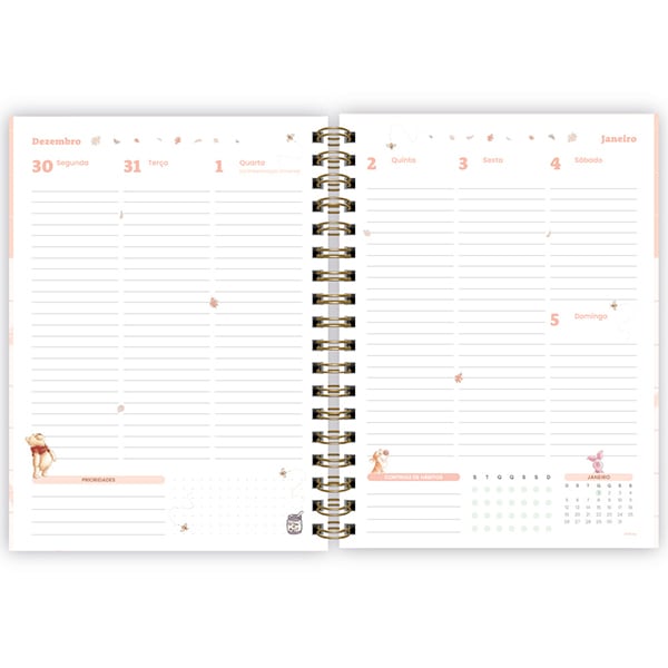 Planner Colegial 2025, Ursinho Pooh, 80 folhas, com espiral, 2518184, Spiral Pooh - PT 1 UN