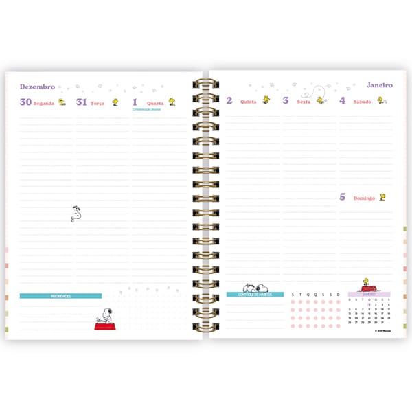 Planner Colegial 2025, Snoopy, 80 folhas, com espiral, 2518191, Spiral Sno - PT 1 UN