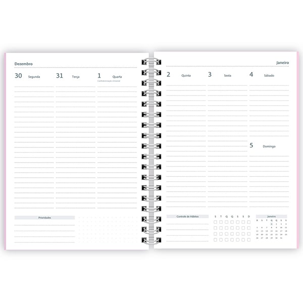 Planner 2025 Colegial Soothing Rosa Pastel, com 80 folhas Spiral - PT 1 UN