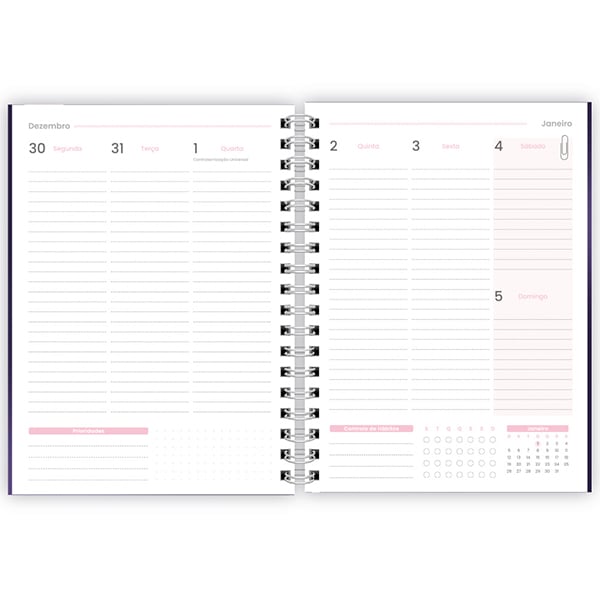 Planner Colegial 2025, Flutter, 80 folhas, com espiral, 2518139, Spiral Flu - PT 1 UN