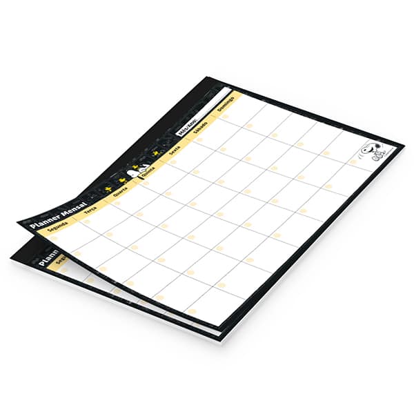 Planner Mensal Snoopy, 24 folhas, 280mm x 214mm, 2751273, Spiral Sno - PT 1 UN Planner Mensal Snoopy, 24 folhas, 280mm x 214mm, 2751273, Spiral Sno - PT 1 UN