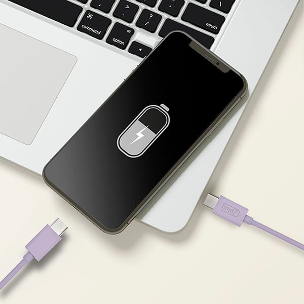 Cabo USB C para Tipo-C, 1m, Lilás, 2Plug - CX 1 UN