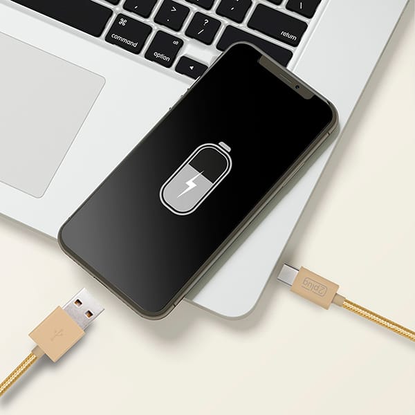 Cabo USB para Tipo-C em Nylon, 2m, Dourado, 2Plug - CX 1 UN