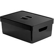 Caixa Organizadora Grande, com Tampa e Alças, 16L, Preto, Nitron - CX 1 UN Caixa Organizadora Grande, com Tampa e Alças, 16L, Preto, Nitron - CX 1 UN