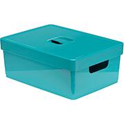 Caixa Organizadora Grande, com Tampa e Alças, 16L, Verde, Nitron - CX 1 UN Caixa Organizadora Grande, com Tampa e Alças, 16L, Verde, Nitron - CX 1 UN