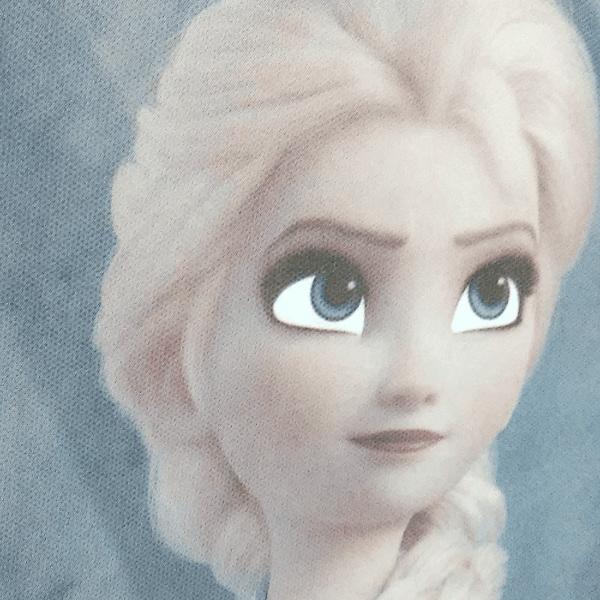 Painel Decorativo para Festa Infantil Frozen, em TNT, Piffer - PT 1 UN