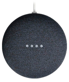 Google Nest Mini